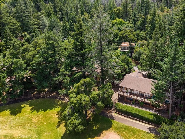 2944 Buckingham Dr, Kelseyville, CA 95451 - photo 58
