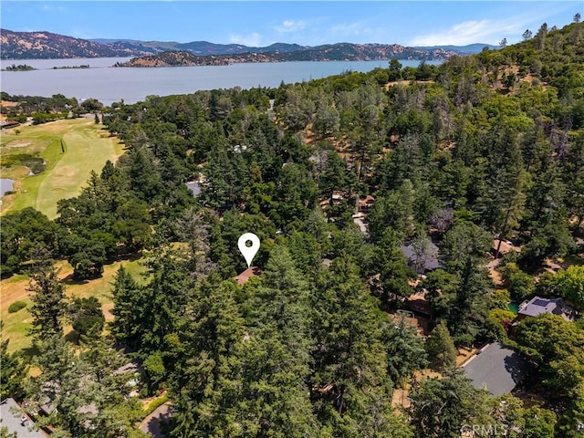 2944 Buckingham Dr, Kelseyville, CA 95451 - photo 61