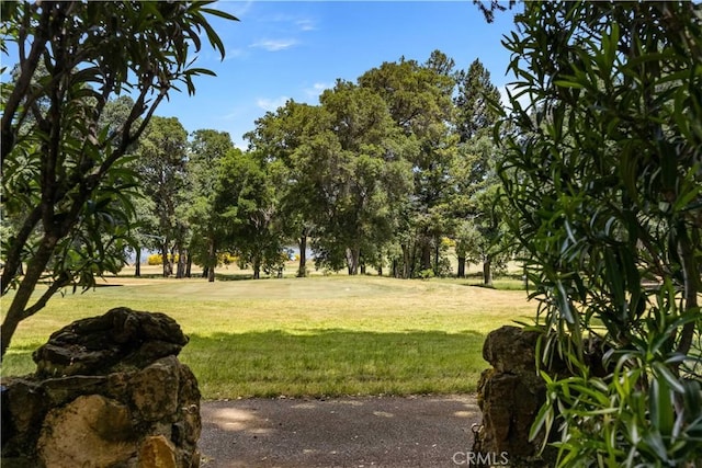2944 Buckingham Dr, Kelseyville, CA 95451 - photo 45
