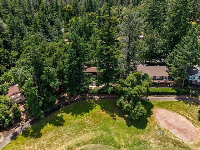 2944 Buckingham Dr, Kelseyville, CA 95451 - photo 52