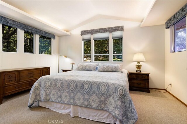 2944 Buckingham Dr, Kelseyville, CA 95451 - photo 9
