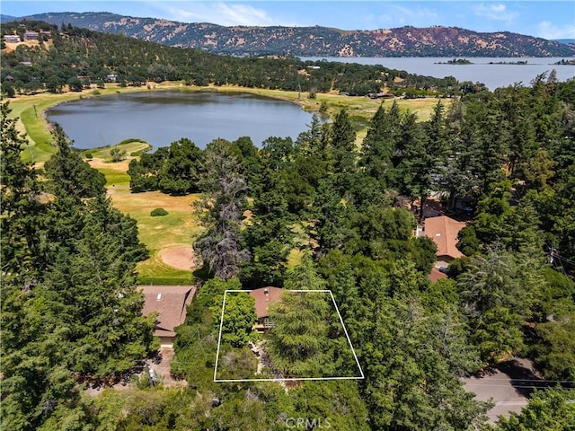 2944 Buckingham Dr, Kelseyville, CA 95451 - photo 49