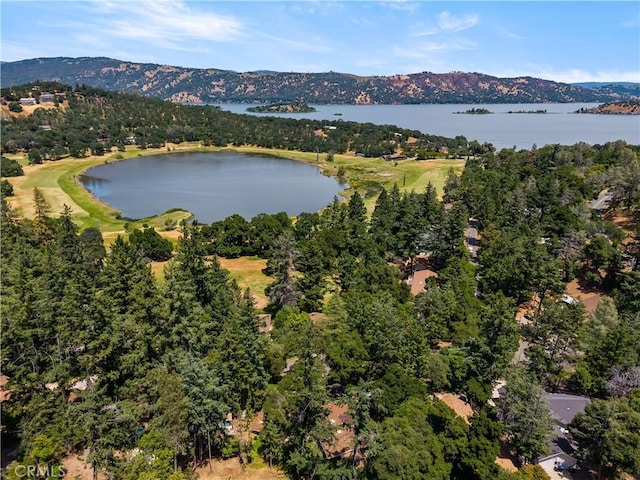 2944 Buckingham Dr, Kelseyville, CA 95451 - photo 54