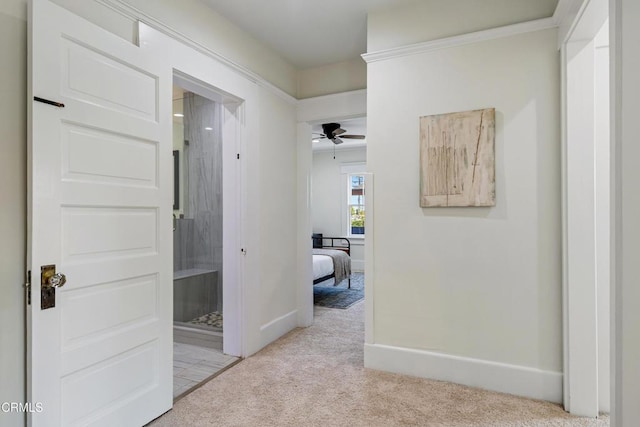 1954 Primrose Ave, South Pasadena, CA 91030 - corridor featuring carpet floors and baseboards