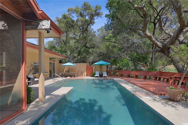 view of pool featuring a fenced in pool, a patio area, and fence