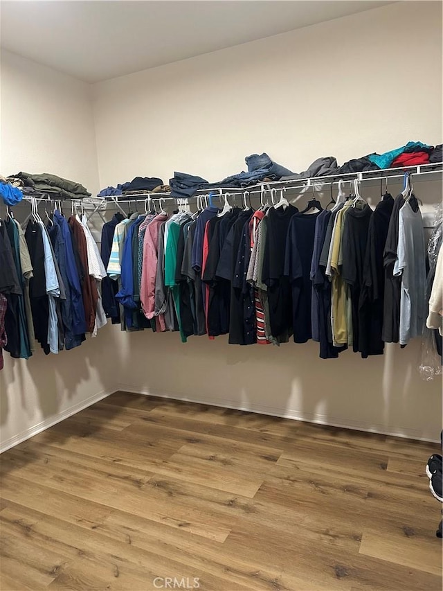 walk in closet featuring wood finished floors