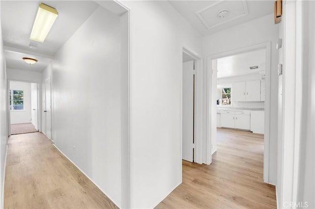 hallway featuring a wealth of natural light and light wood-style floors