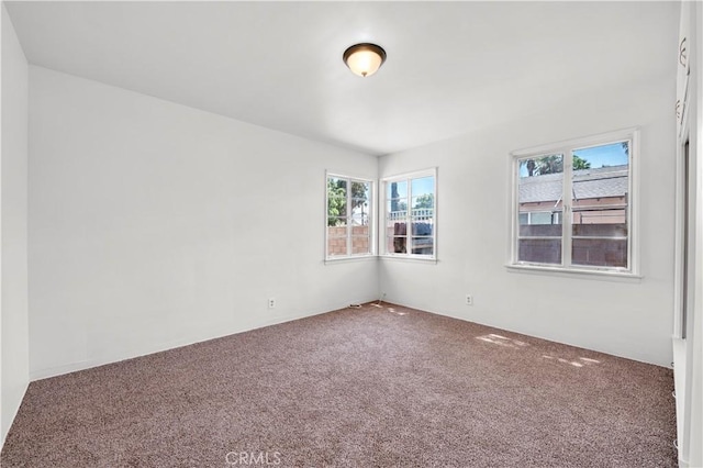 carpeted spare room with a wealth of natural light