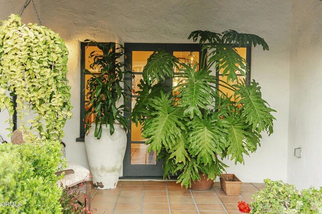1241 Solita Rd, Pasadena, CA 91103 - doorway to property featuring stucco siding