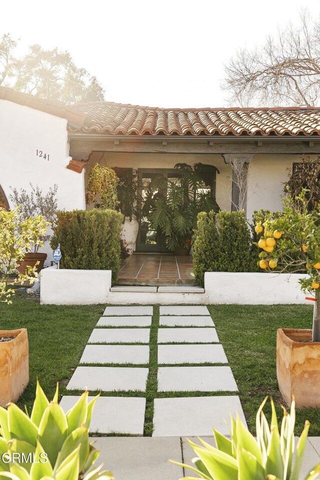 1241 Solita Rd, Pasadena, CA 91103 - view of yard