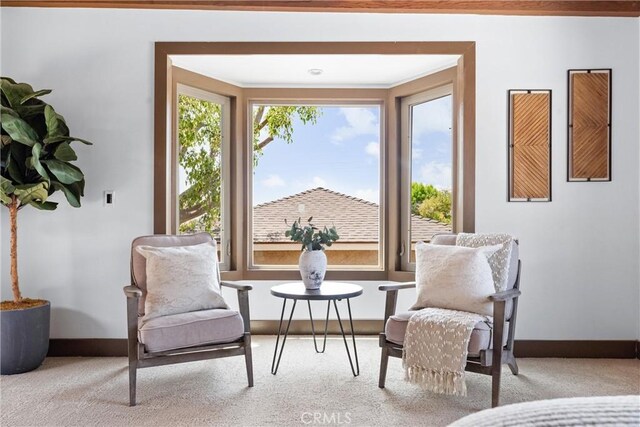 sitting room with baseboards and carpet