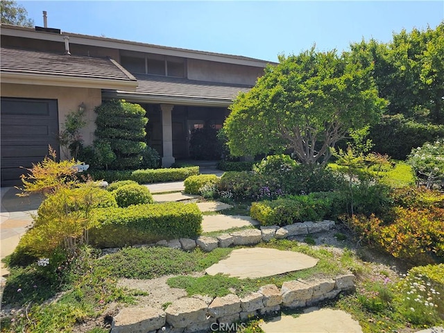 doorway to property with a tiled roof and stucco siding