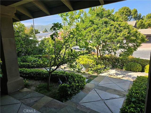 view of yard with a mountain view