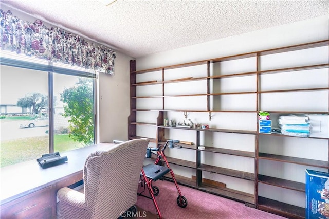 carpeted office space with a textured ceiling