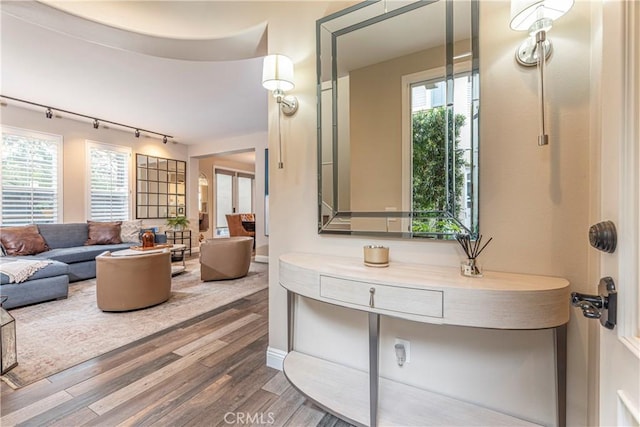 bathroom with vanity, rail lighting, and wood finished floors