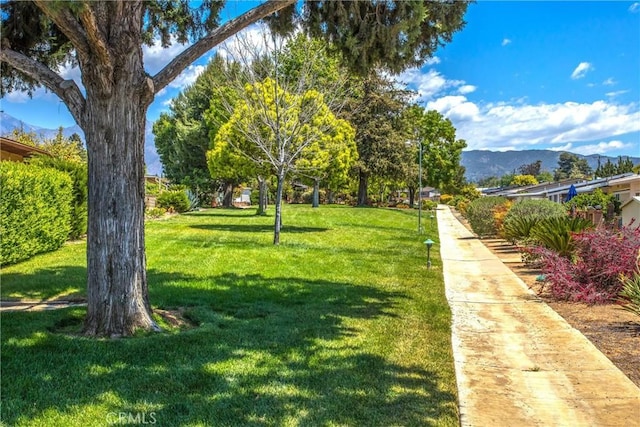 surrounding community featuring a yard and a mountain view
