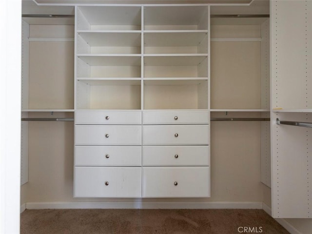 view of closet