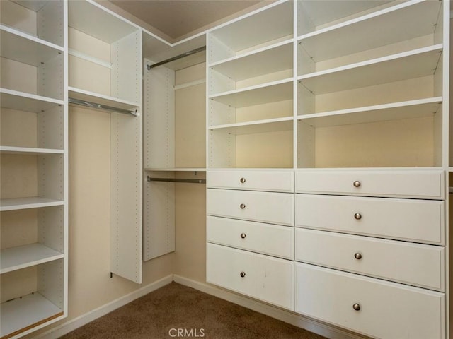 walk in closet featuring dark colored carpet