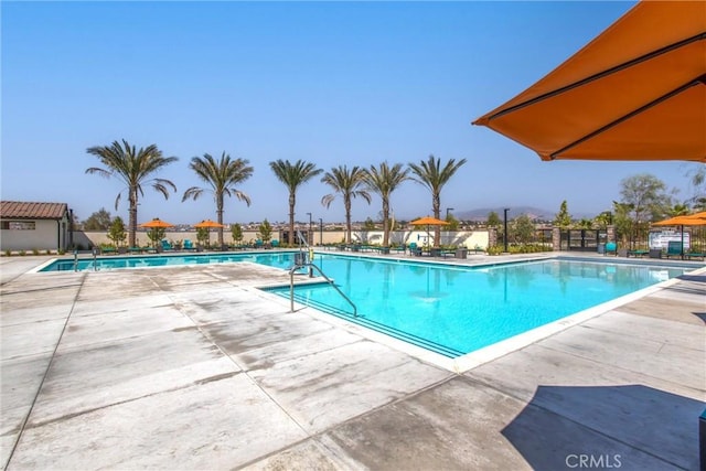 pool featuring a patio and fence