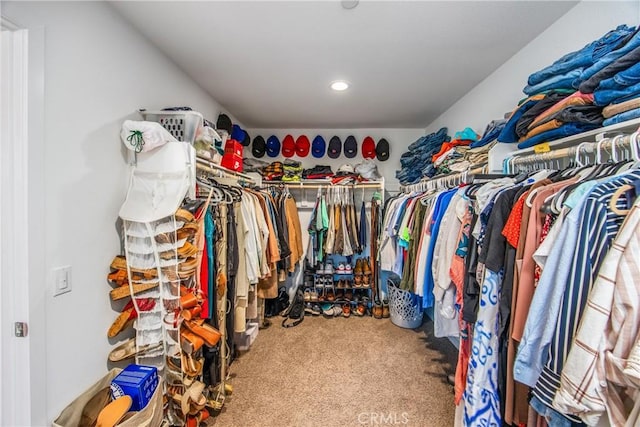spacious closet featuring carpet