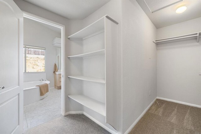 1366 Via Cibola, Oceanside, CA 92057 - walk in closet featuring carpet