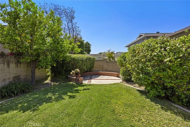 view of yard with a fenced backyard and a patio area