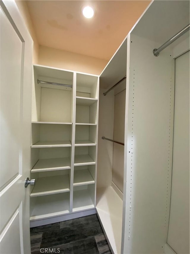 spacious closet featuring dark wood-type flooring