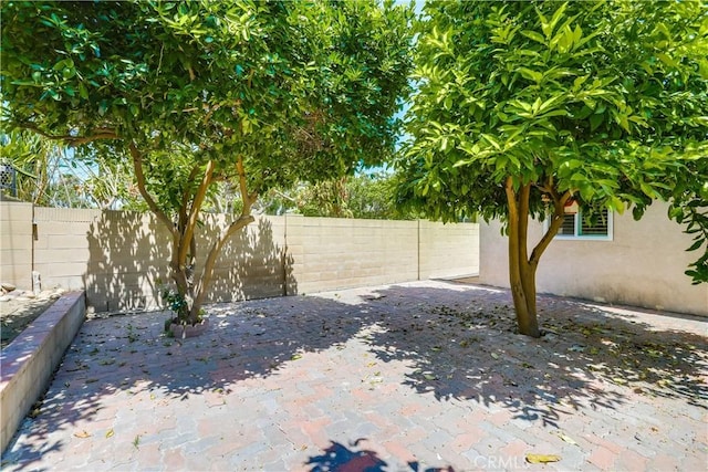 view of yard with a fenced backyard and a patio
