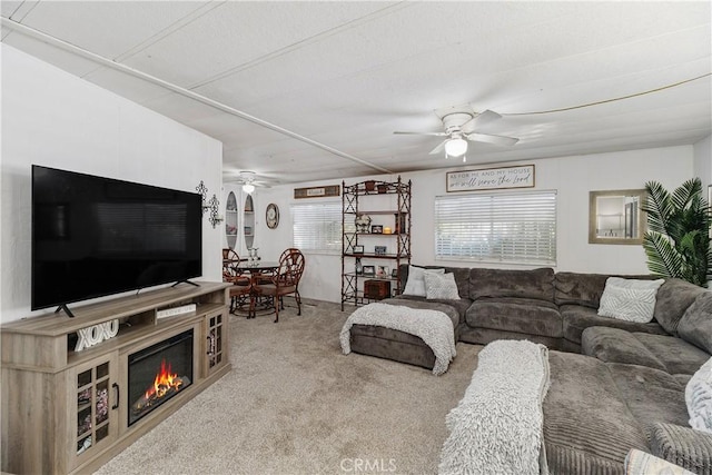 living area featuring a ceiling fan and carpet flooring