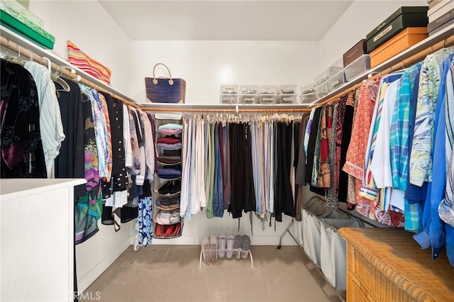 view of walk in closet
