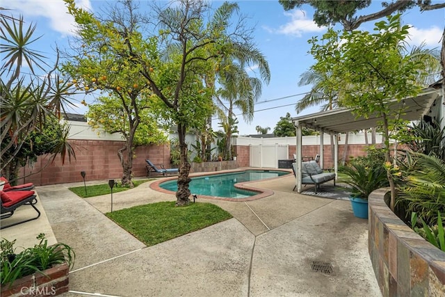 view of pool with a fenced in pool, a fenced backyard, and a patio area