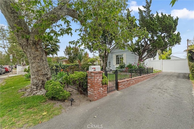 view of front facade featuring a gate, a front lawn, and a fenced front yard