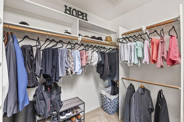 68256827 Kellyn Ln, Vista, CA 92084 - walk in closet with carpet flooring