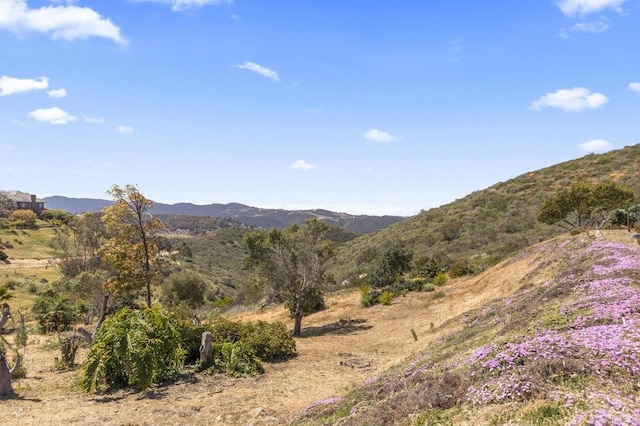 68256827 Kellyn Ln, Vista, CA 92084 - property view of mountains