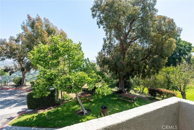 surrounding community featuring a yard