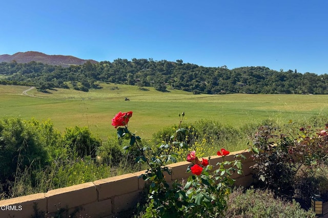 1920 Tiara Dr, Ojai, CA 93023 - photo 3