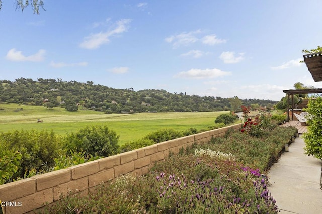 1920 Tiara Dr, Ojai, CA 93023 - photo 21