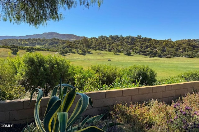 1920 Tiara Dr, Ojai, CA 93023 - photo 5