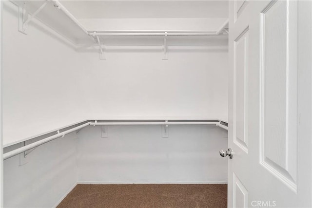 40684 Corte Albara, Murrieta, CA 92562 - walk in closet featuring carpet floors