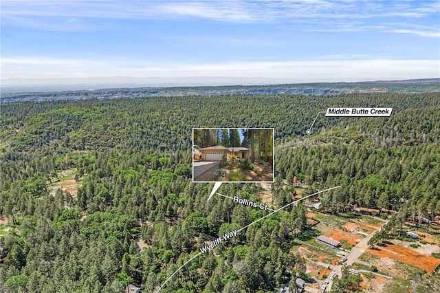 14124 Rollins Ct, Magalia, CA 95954 - birds eye view of property featuring a wooded view