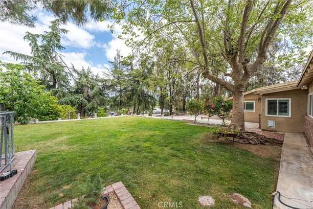 31869 Florida St, Redlands, CA 93373 - view of yard