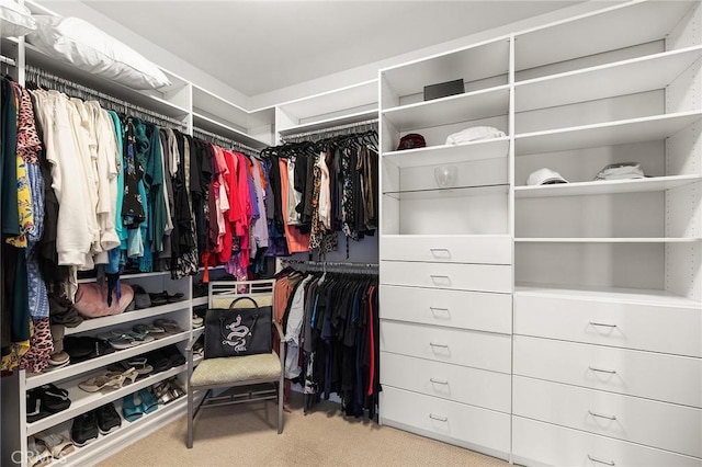 walk in closet featuring carpet flooring