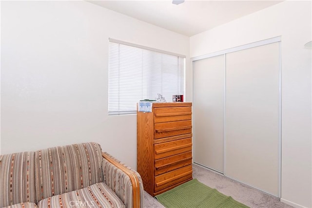 carpeted bedroom featuring a closet
