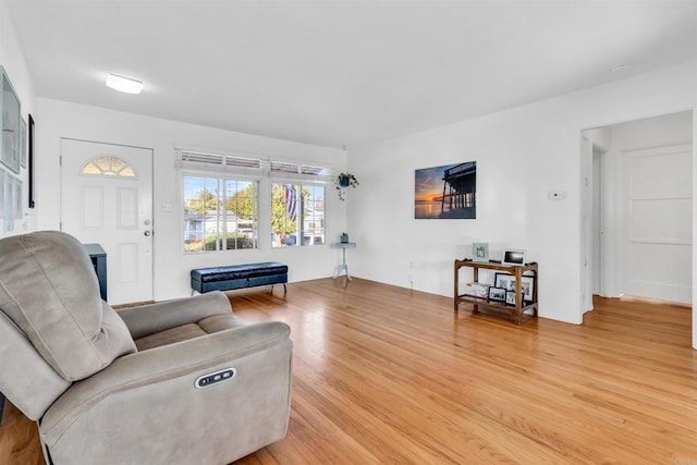 living room featuring light wood-style flooring