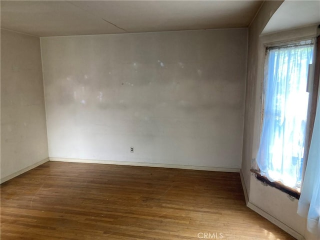 spare room with baseboards, hardwood / wood-style flooring, and a wealth of natural light