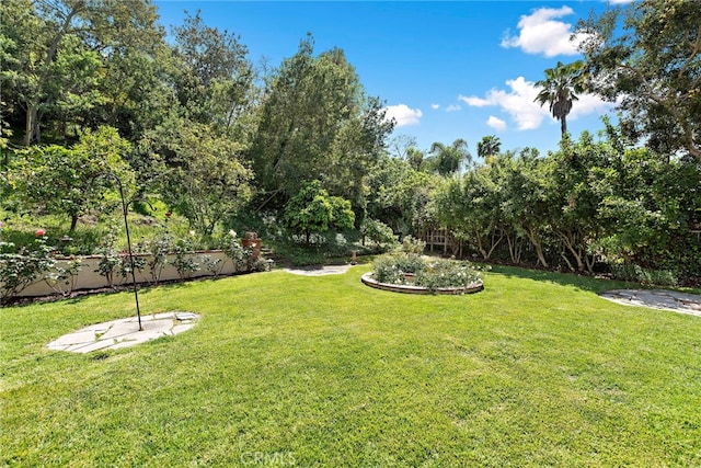 25122 Black Horse Ln, Laguna Hills, CA 92653 - view of yard