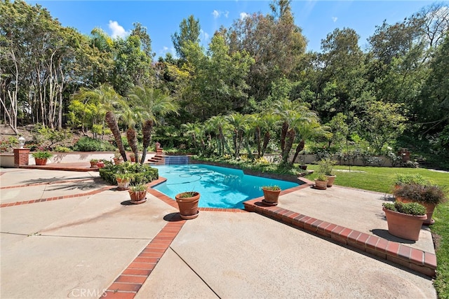 outdoor pool featuring a patio and view of wooded area