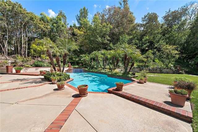 25122 Black Horse Ln, Laguna Hills, CA 92653 - outdoor pool featuring a patio and view of wooded area