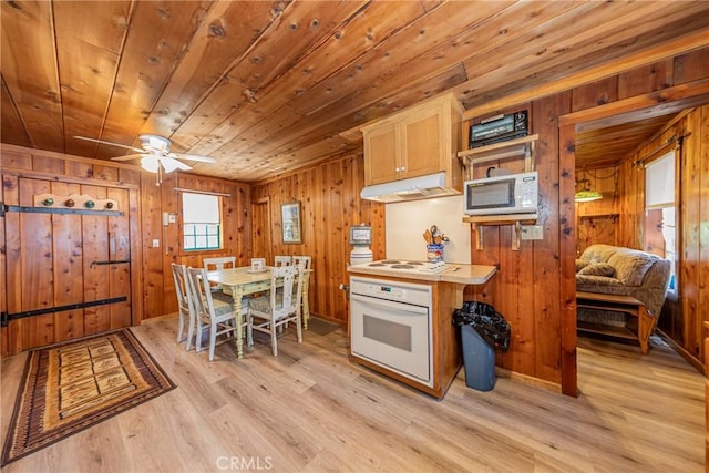 50054 Poplar Rd, Oakhurst, CA 93644 - photo 12