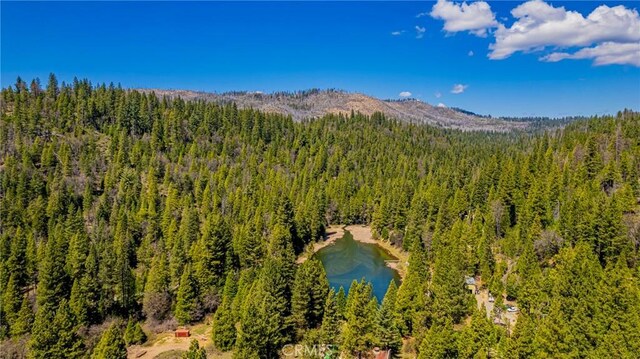 50054 Poplar Rd, Oakhurst, CA 93644 - photo 31